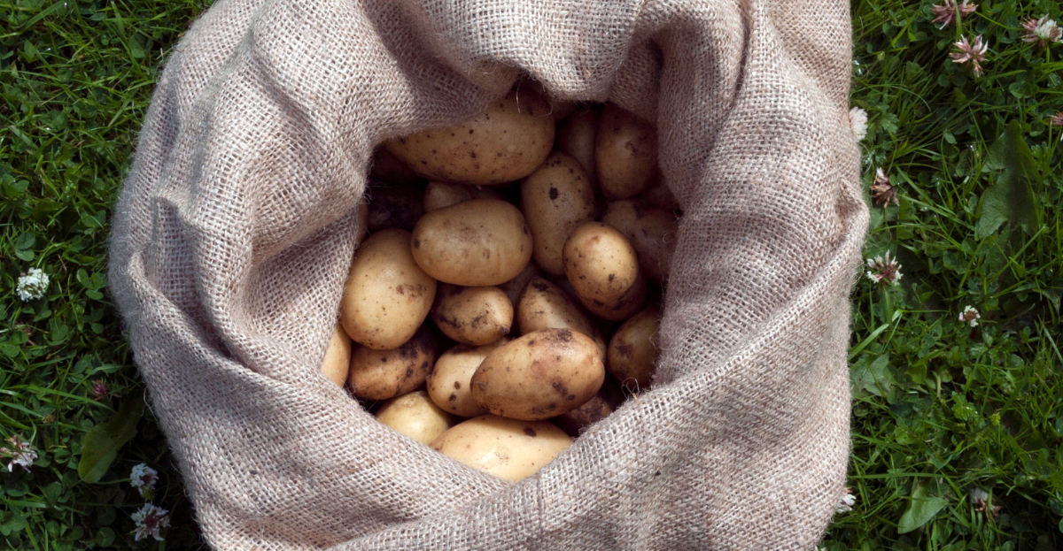 Potato sacks